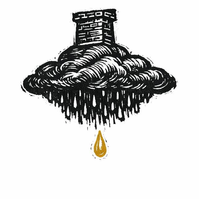 Carbon removal: can we suck CO2 back out of the sky?